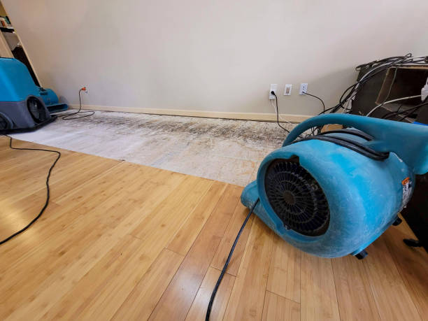 Professional Flood Damage Cleanup technician working in Wilmington, IL